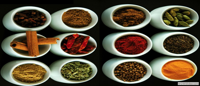 Pakistani Recepeis